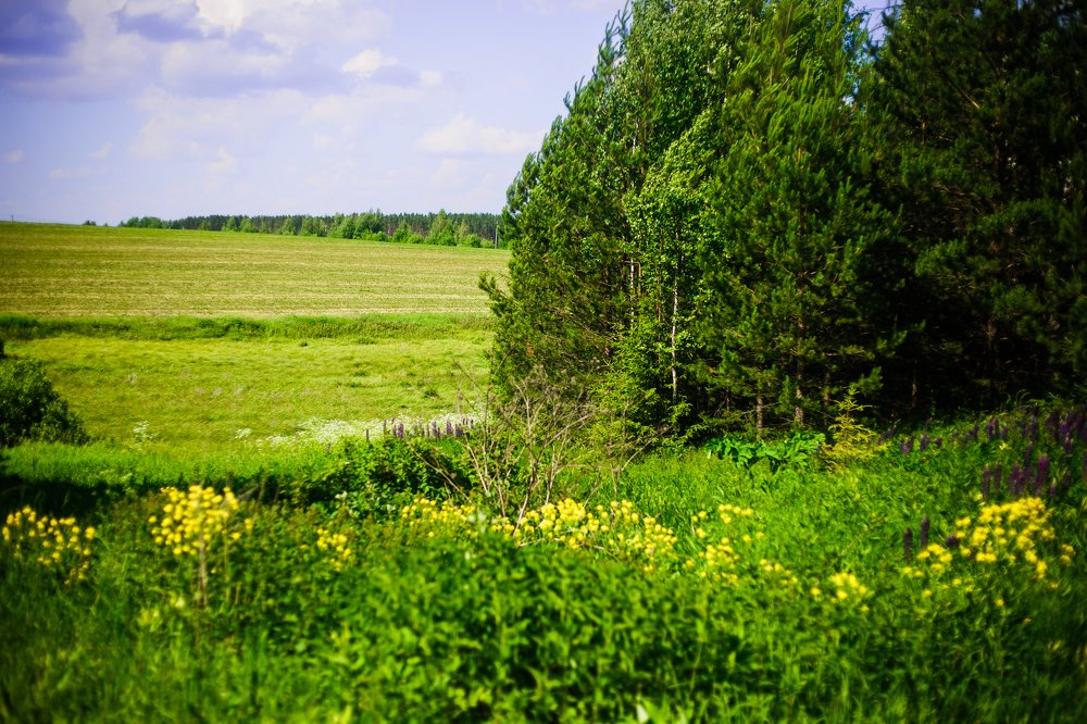 Фотография автора Надежда Саблина