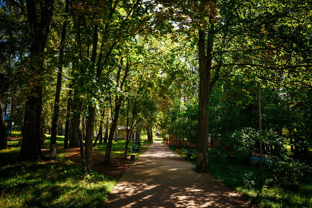 Фотография автора Надежда Саблина