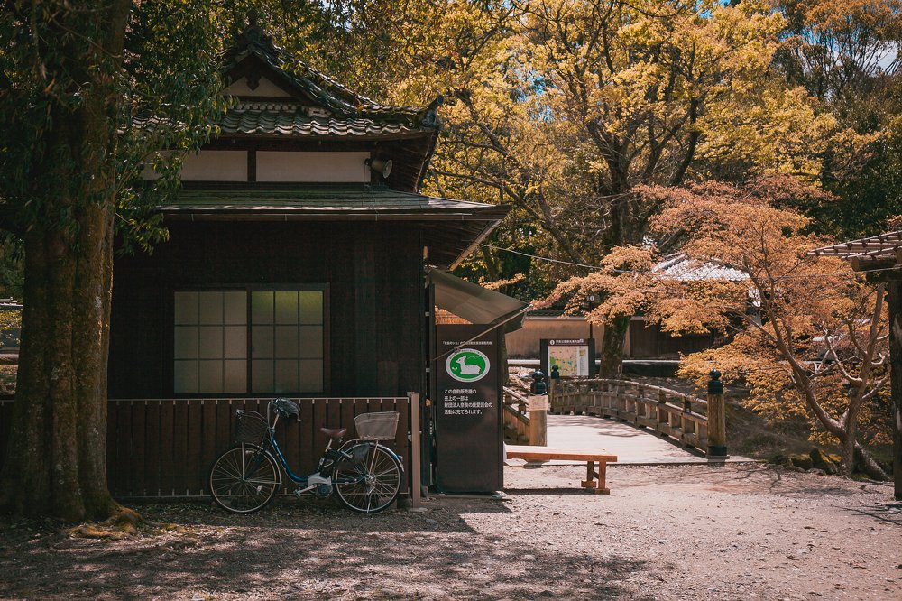 Photograph by Семён Муратов