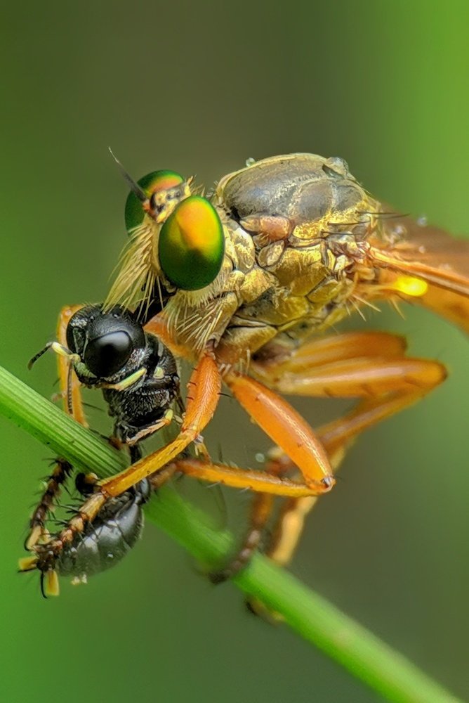 Photograph by Partha Chatterjee