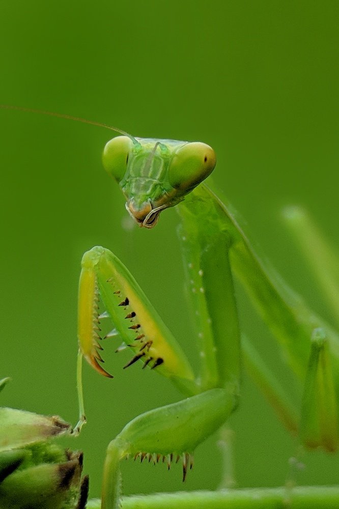 Photograph by Partha Chatterjee