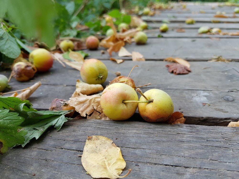 Photograph by Svetlana Khromova