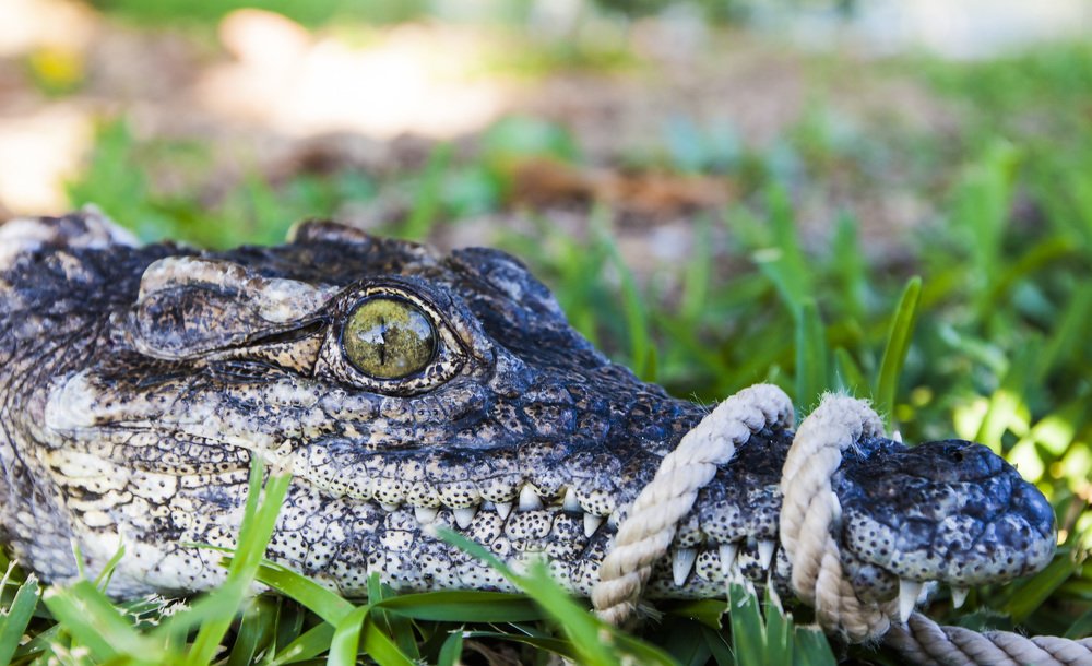 Photograph by Anastasia nenay