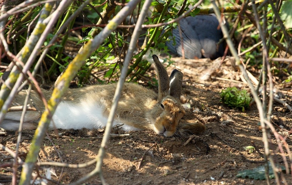 Photograph by Константин Панькин