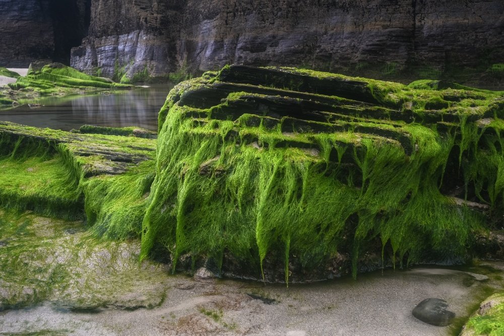 Пляж Кафедральных соборов