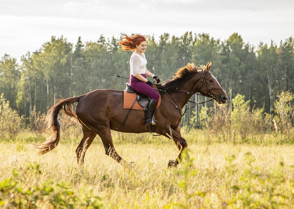 Photograph by Николай Ефимов