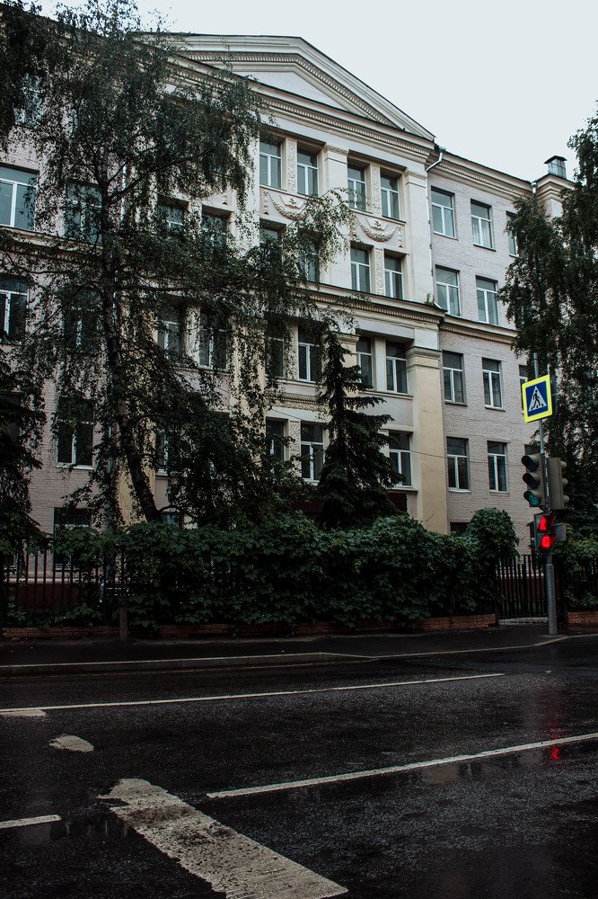 Photograph by Элина Данелия