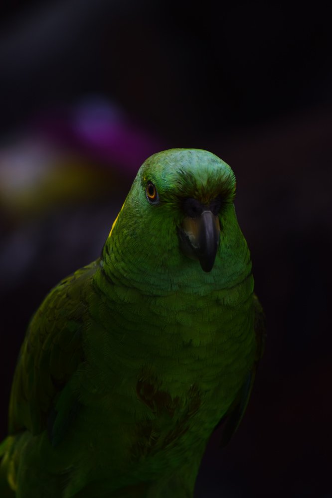 Photograph by Khalidevan Moorthy