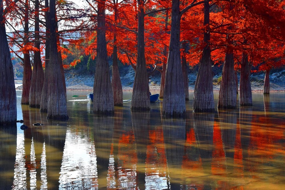 Photograph by Margo Margo