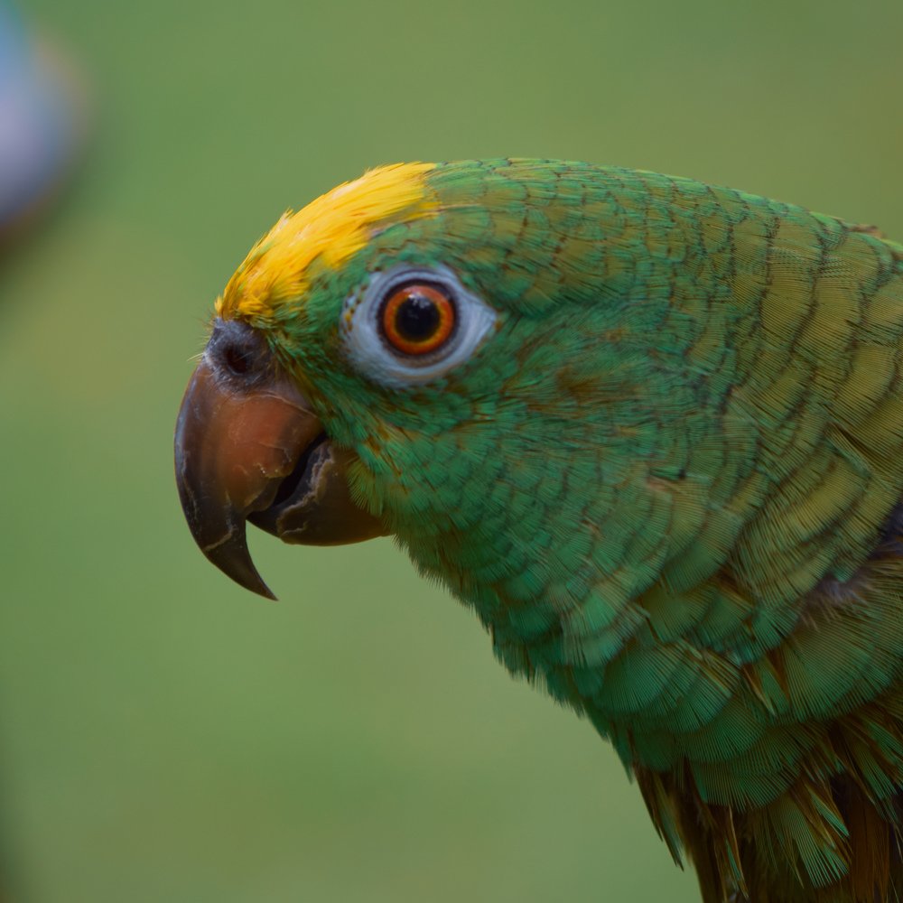 Photograph by Khalidevan Moorthy