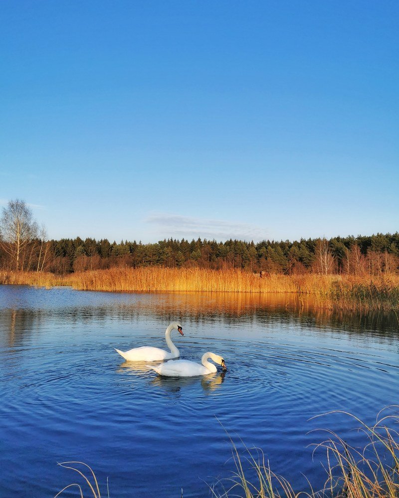 Photograph by Tatjana Doronda