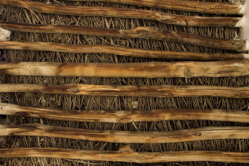 Photograph by Milad Mousavi