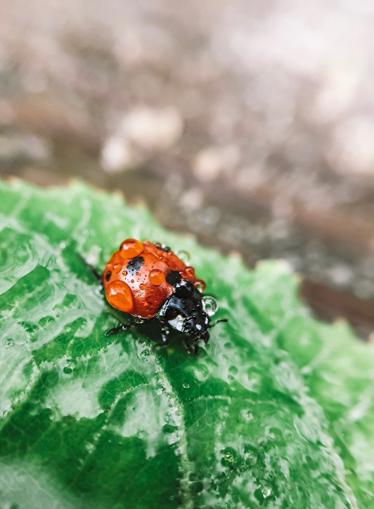 Photograph by Наталья Мальцева