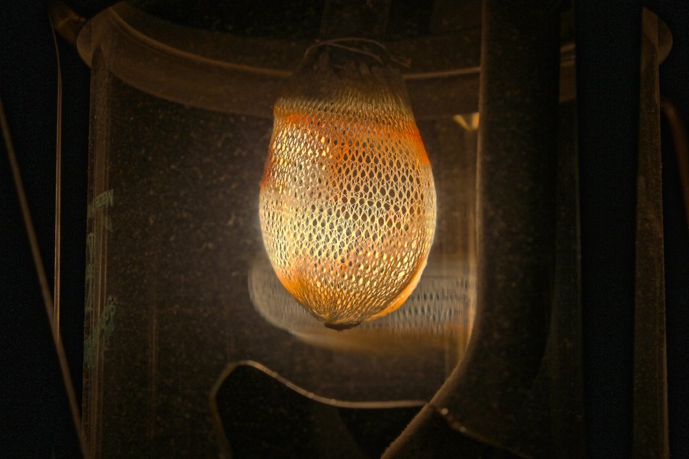 Photograph by Milad Mousavi