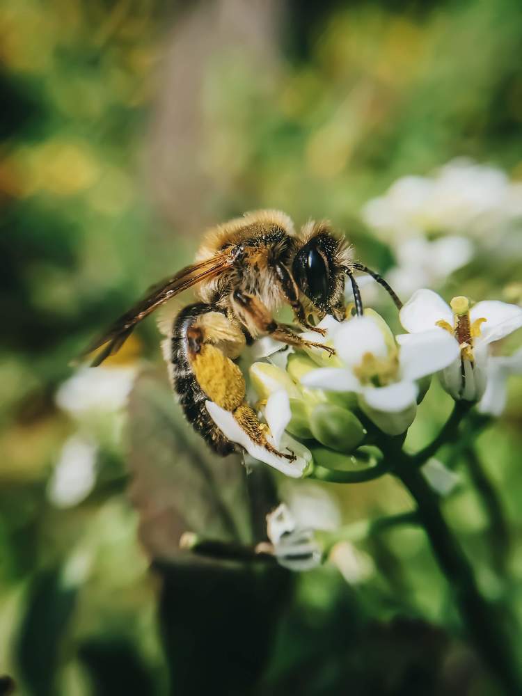 Photograph by Наталья Мальцева