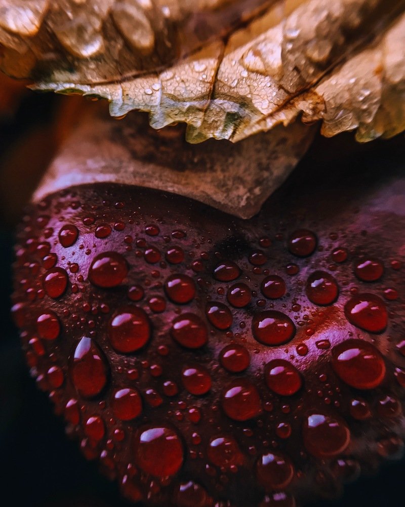 Photograph by Наталья Мальцева