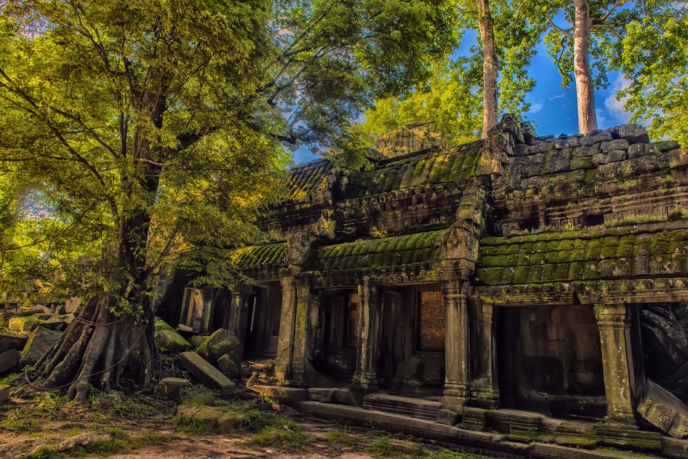 Photograph by 