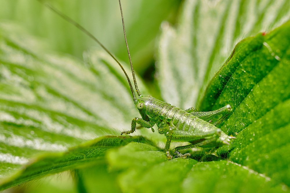 Photograph by Качурин Алексей