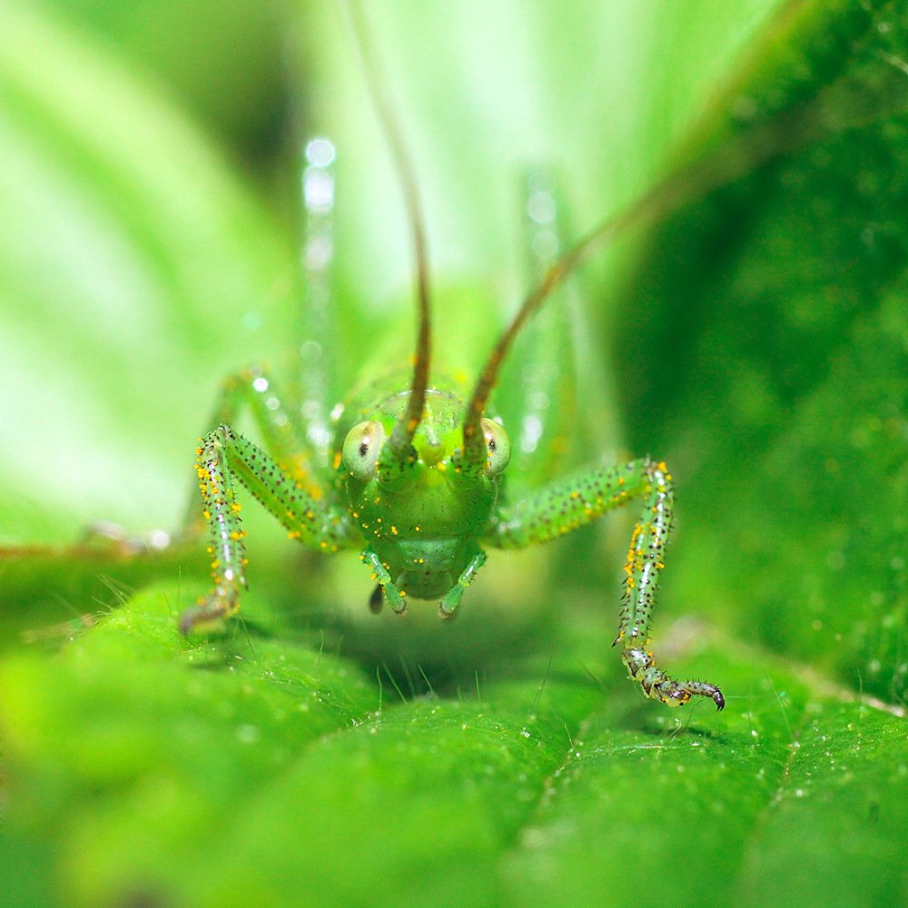 Photograph by Качурин Алексей
