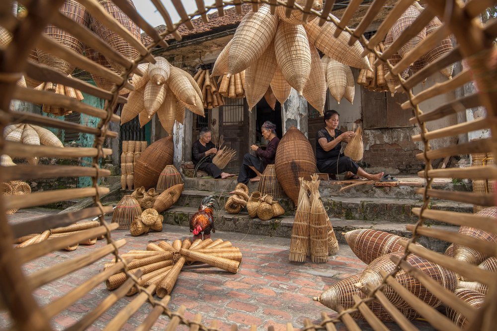 Through the fish trap