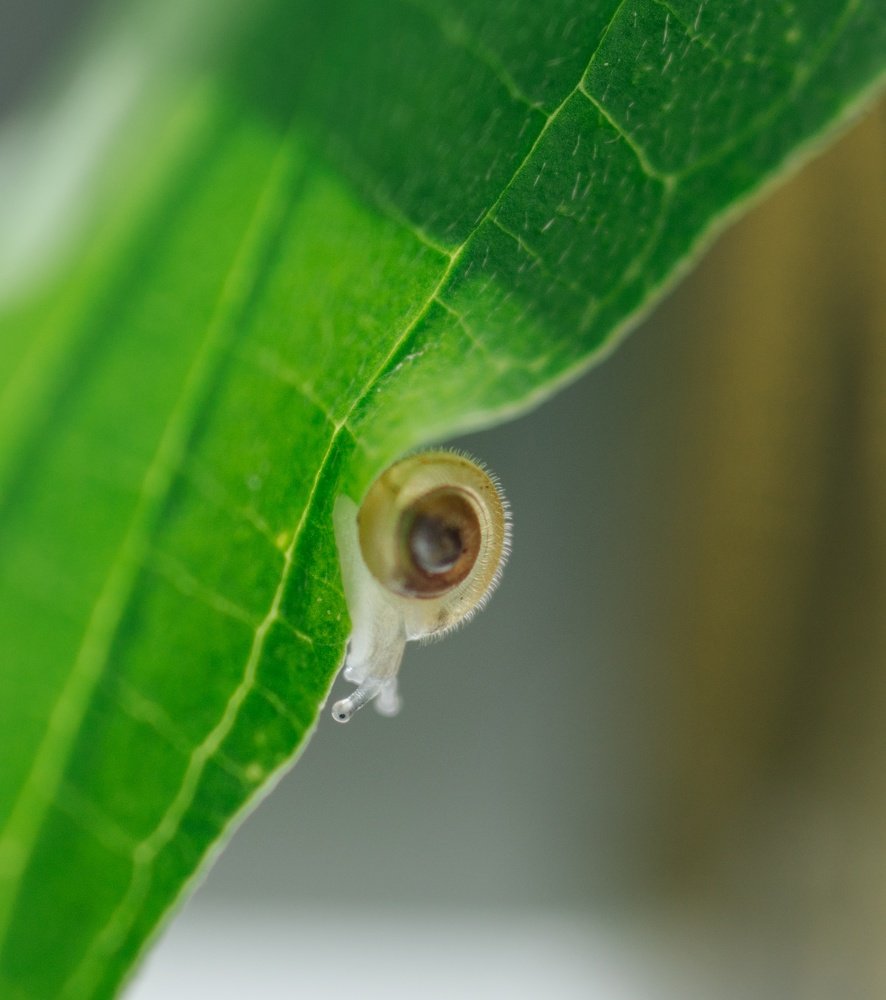 Photograph by Татьяна Пименкова