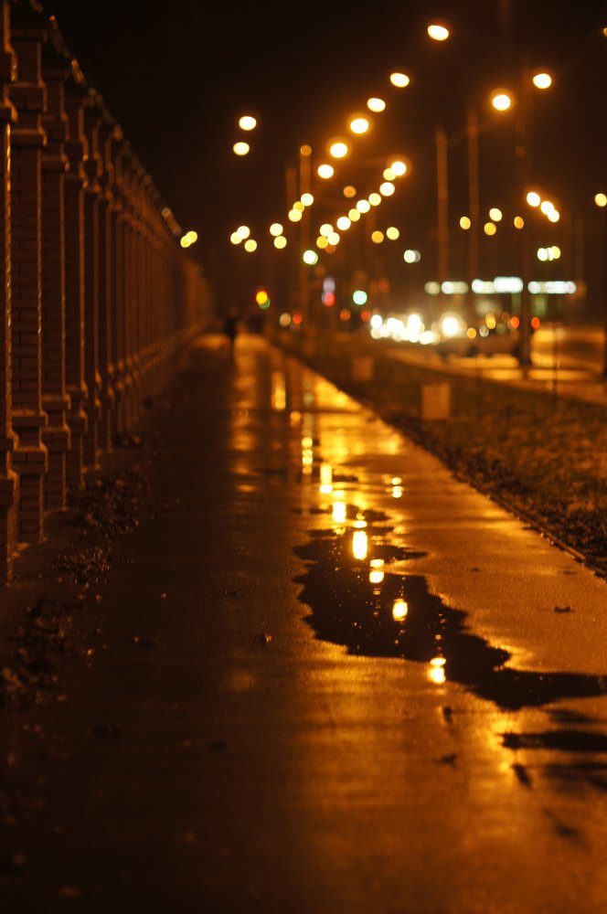 Photograph by Сергей Забиякин