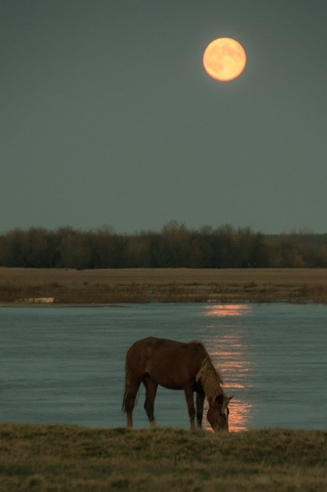 Photograph by Сергей Ануфриев