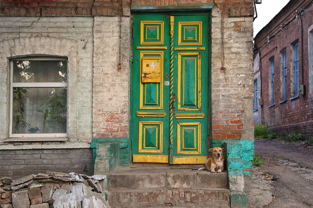 Photograph by Ольга Галецкая