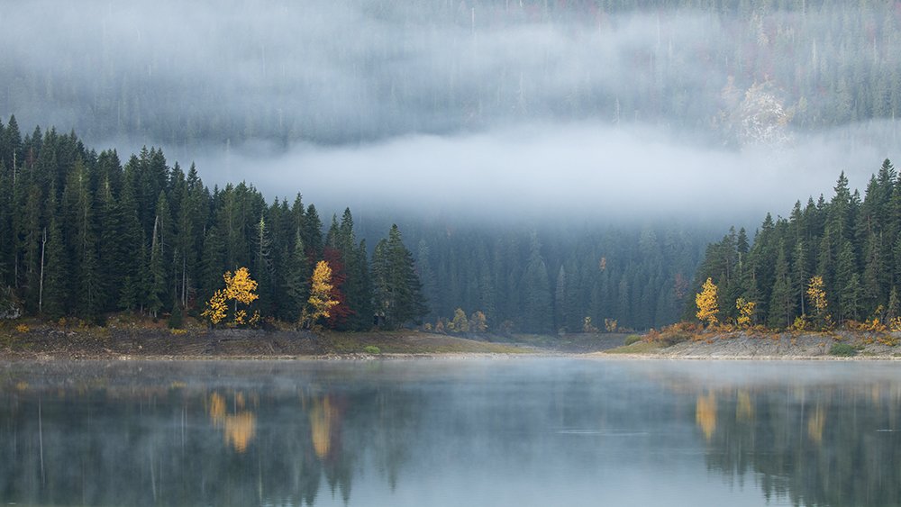 Photograph by Dóra Csörögi