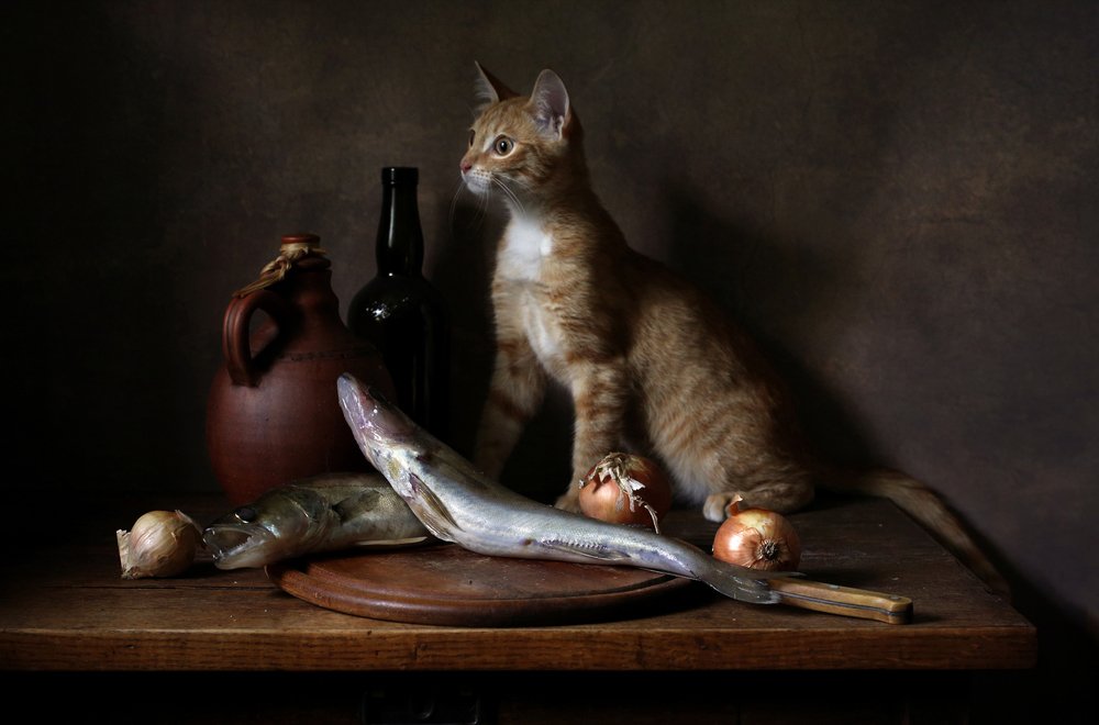 Watch. (В дозоре).