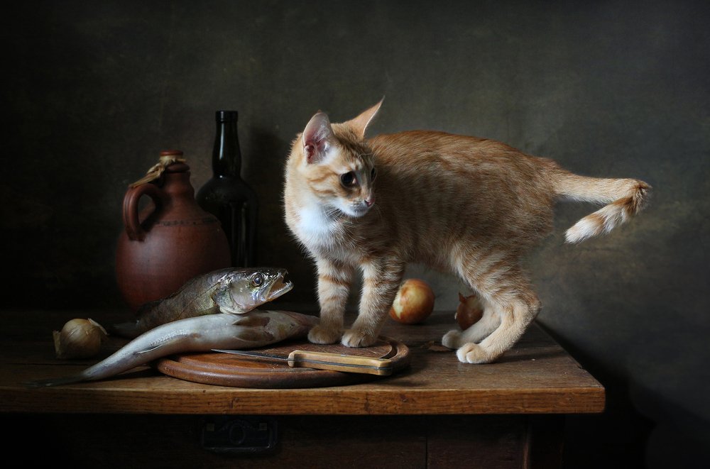 Хозяйка ушла...