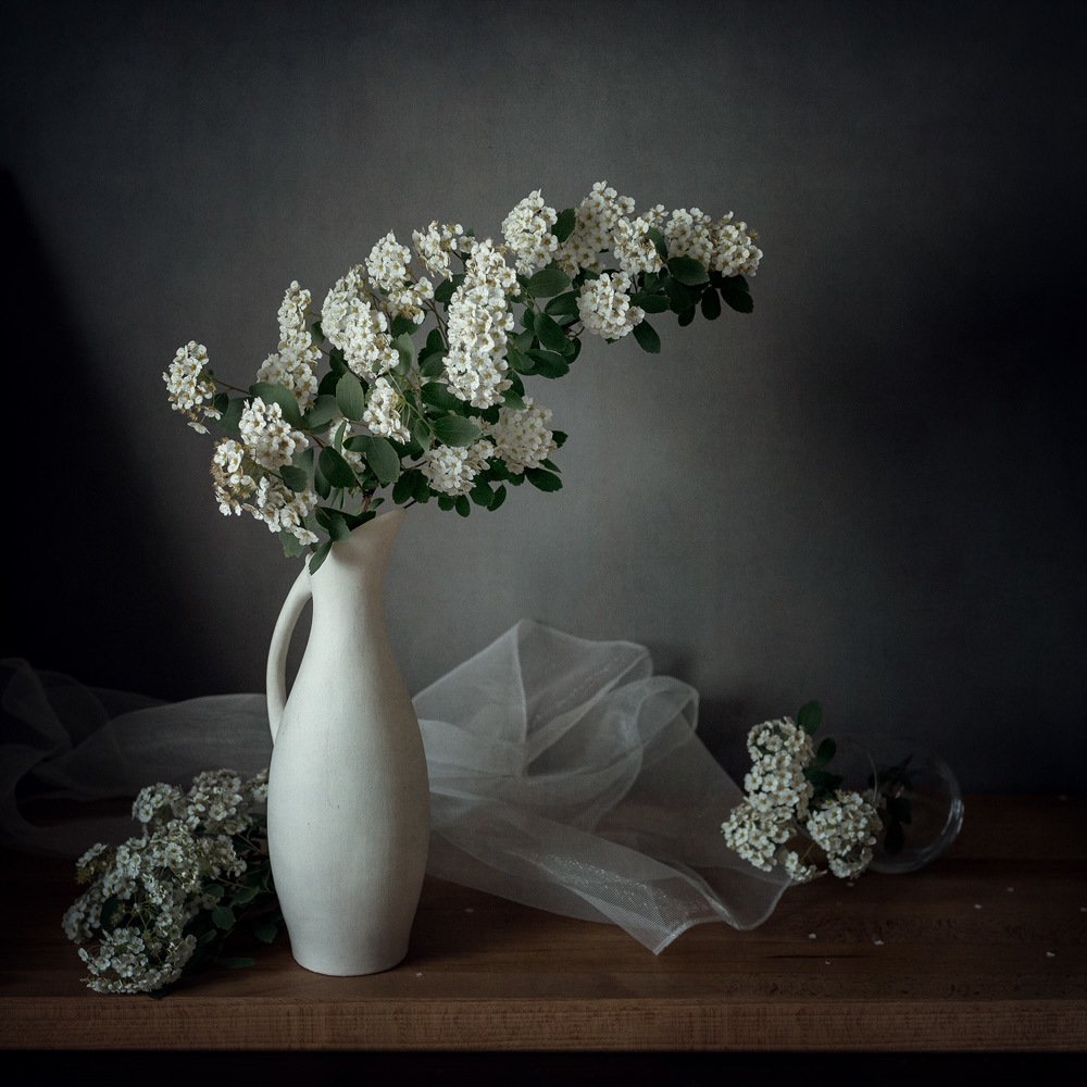 Весна. Цветение спиреи.