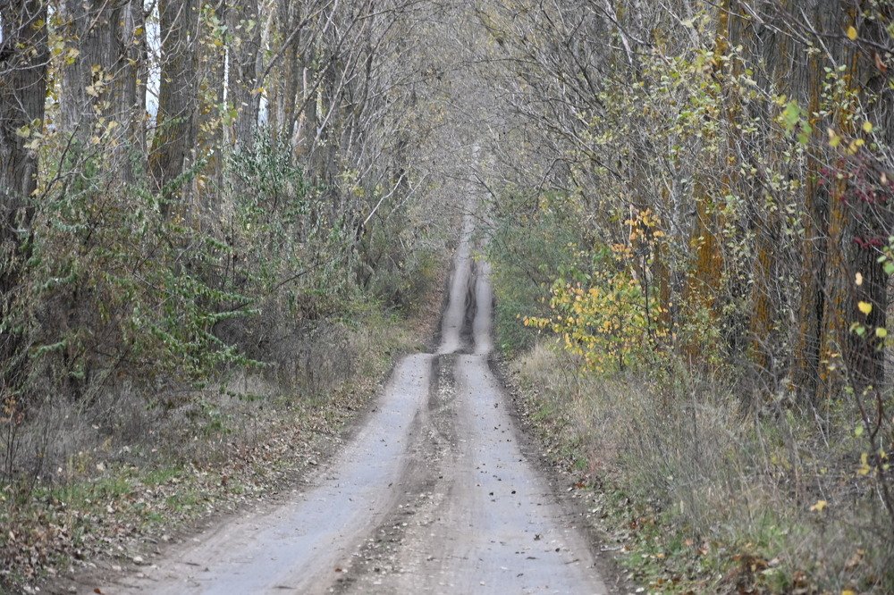 Photograph by Lucia Taut