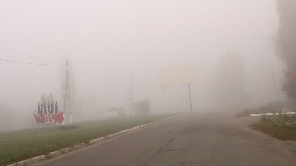 Photo #3810432