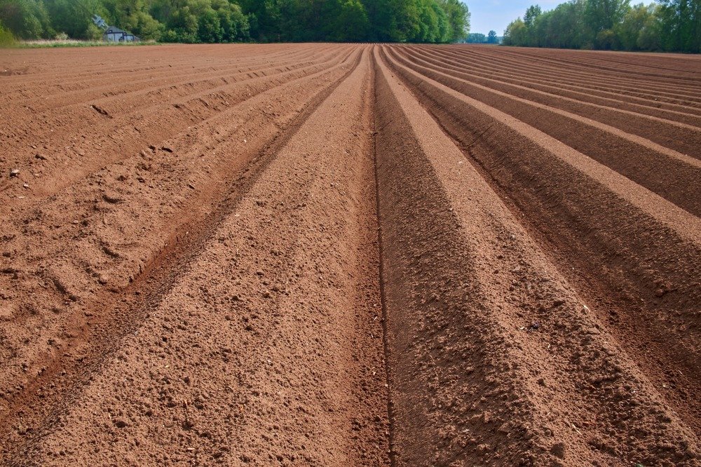 Photograph by Alexey Olkhovenko