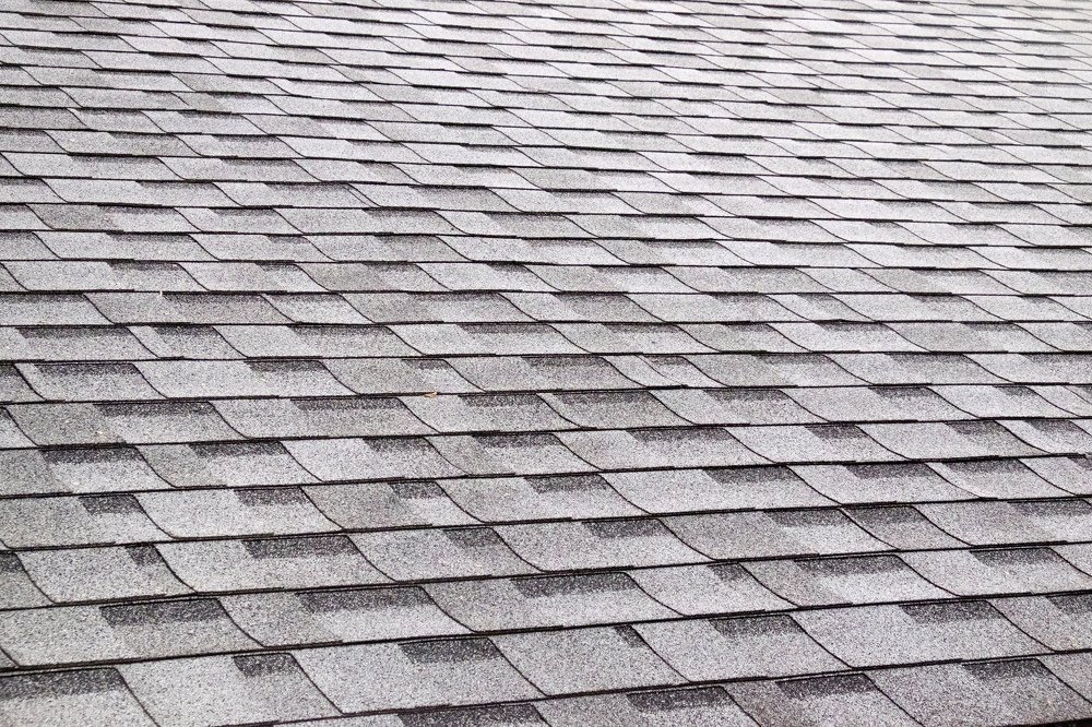 Photograph by Alexey Olkhovenko