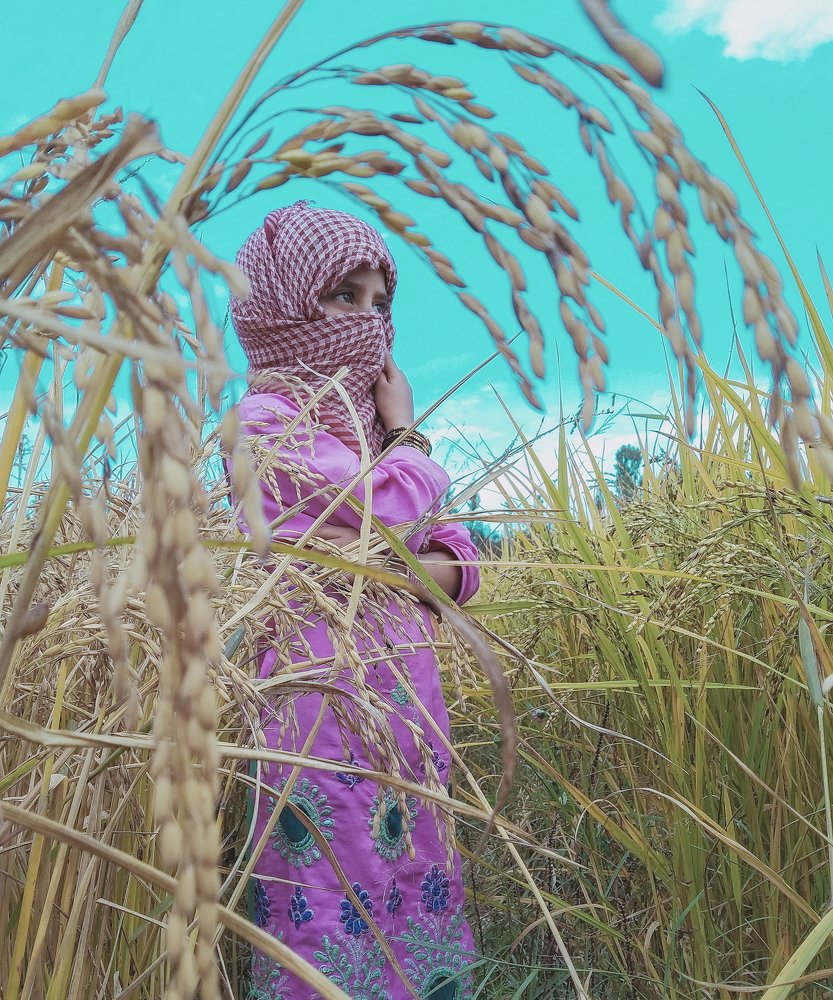 Photograph by Mushtaque Yassir