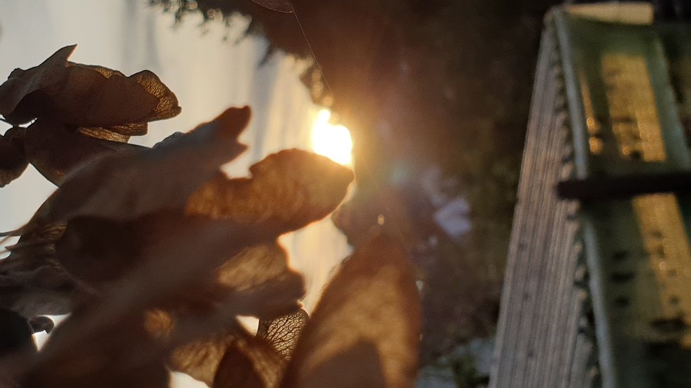 Photograph by Julia Reiner