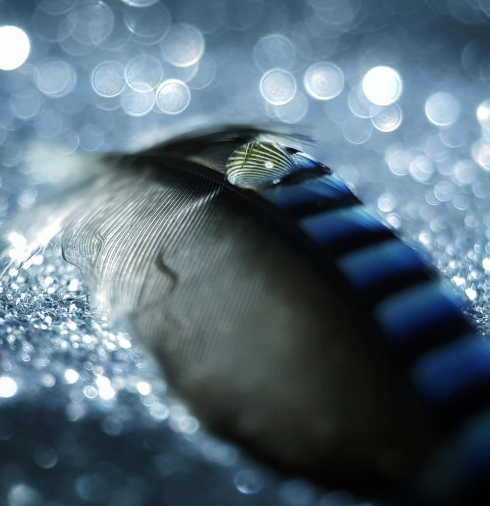 Перышко счастья