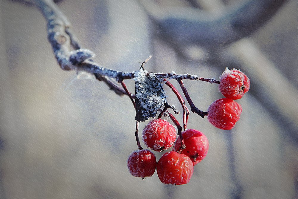 Photograph by Виталий Першин