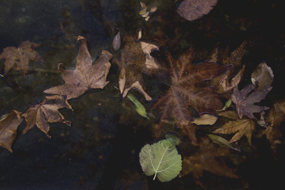 Photograph by Milad Mousavi