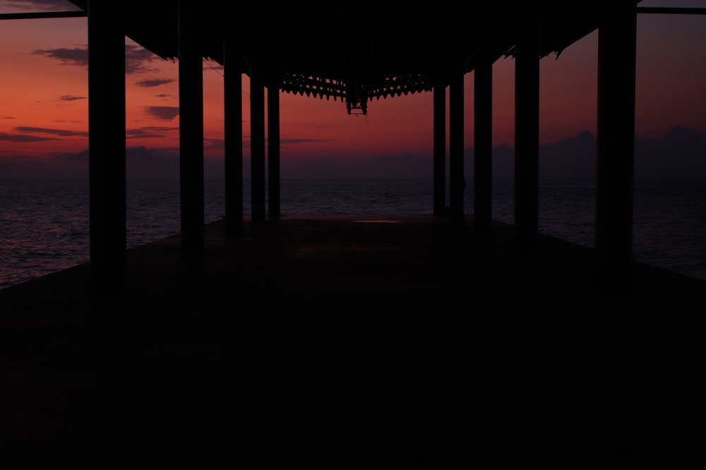 Photograph by Наталия