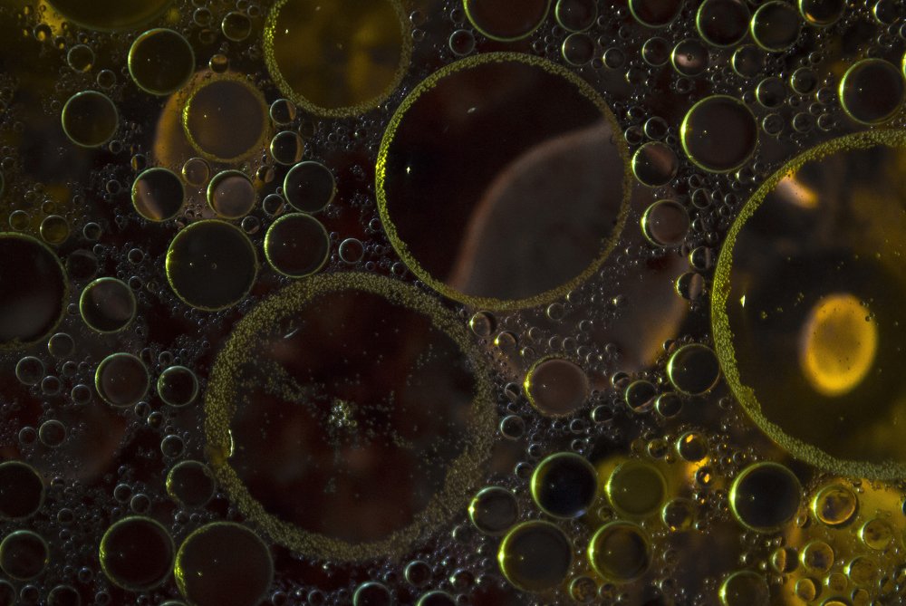 Photograph by Milad Mousavi