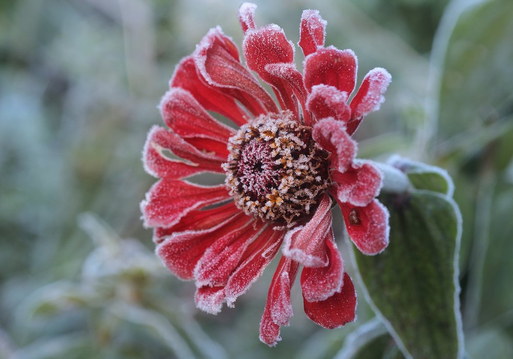 Photograph by Виталий Першин