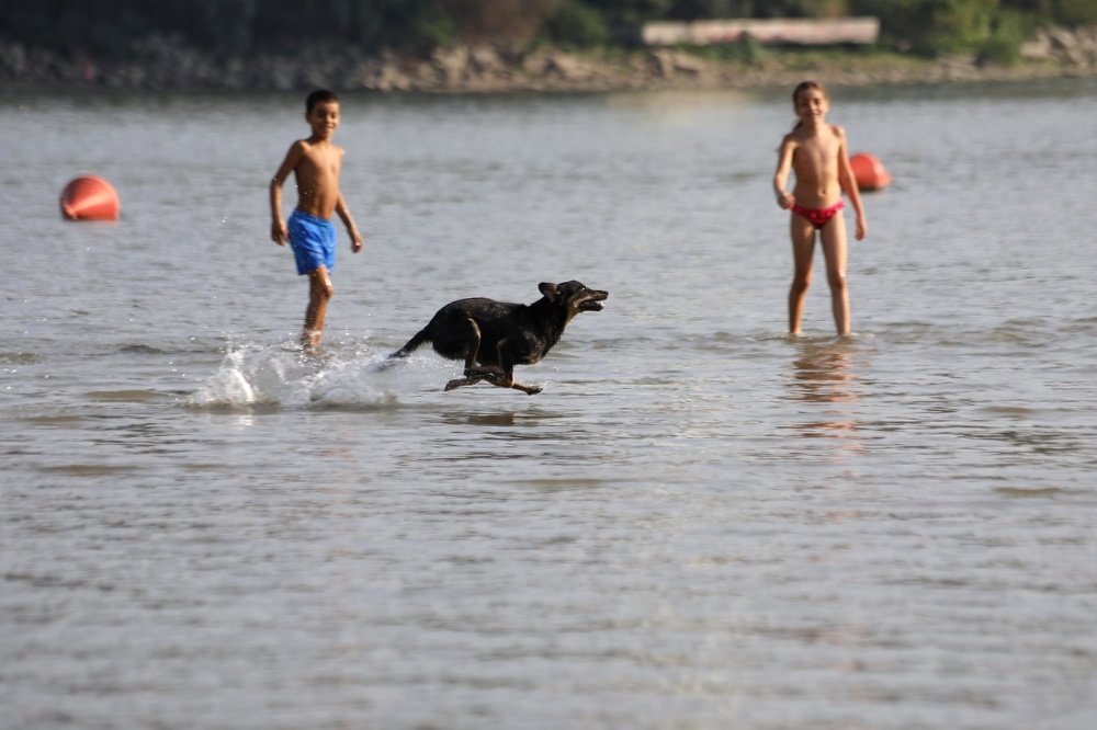 Photograph by Егор Тетюшев