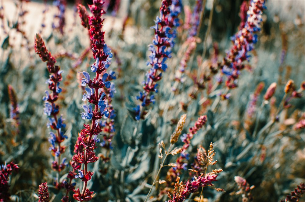 Photograph by Виктория Булатова