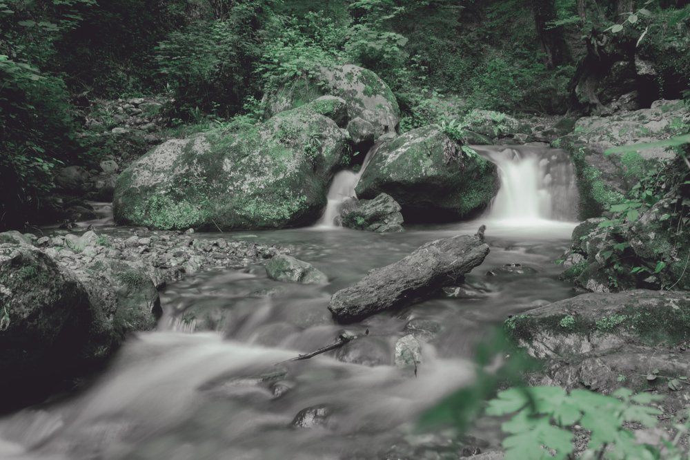 Photograph by Milad Mousavi