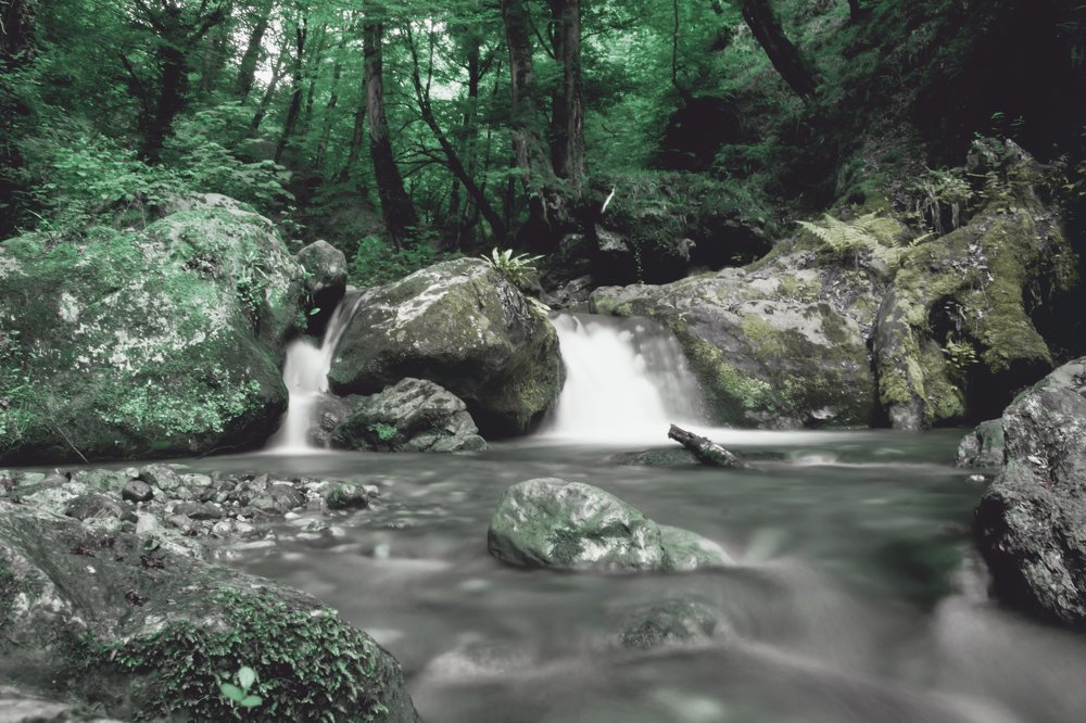 Photograph by Milad Mousavi