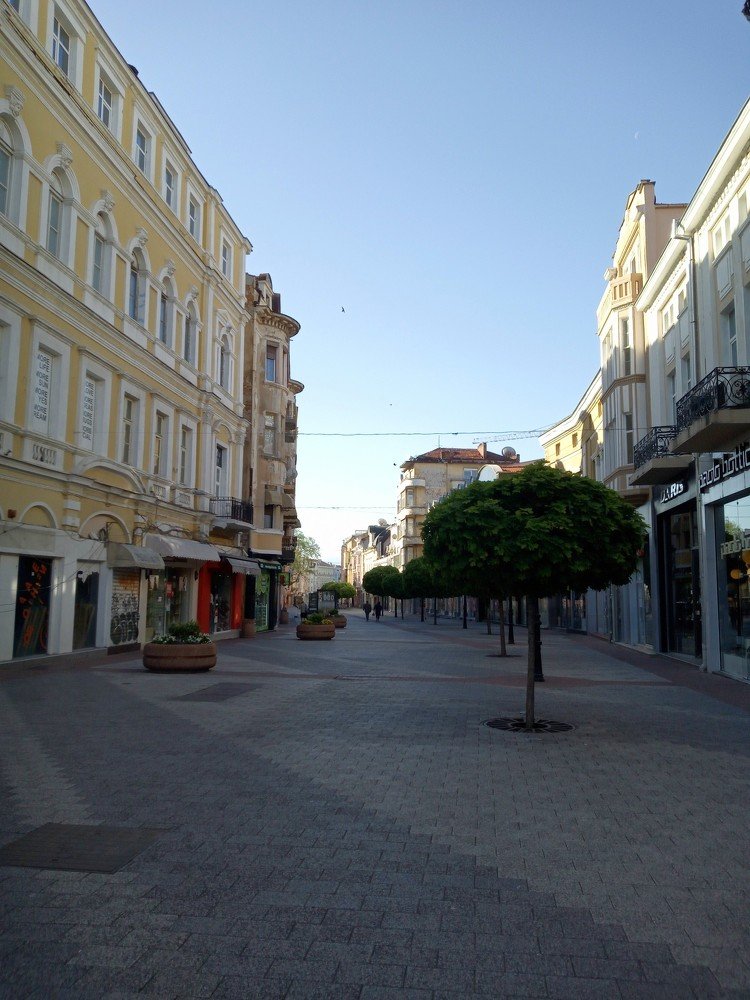 Photo #3810757