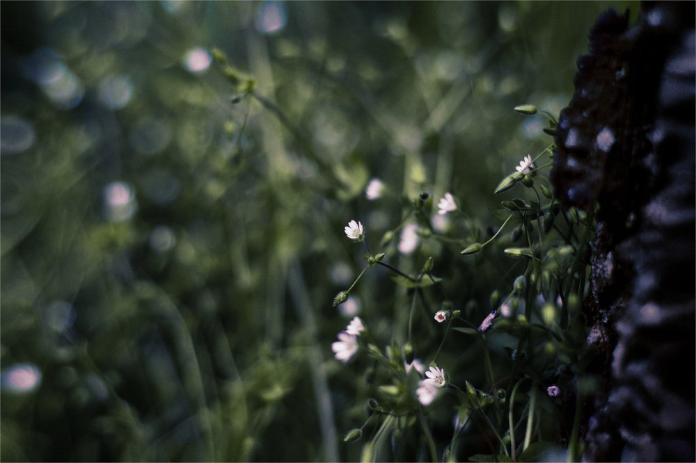 Photograph by Виктория Булатова